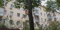 Фонд «Ива» приступает ко второму этапу по сохранению липовой аллеи на улице Садовой - Известно.ру