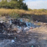 На особо охраняемой природной территории выявили складирование отходов и сброс сточных вод - OnlineTambov.Ru