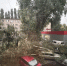 Дерево рухнуло на парковку и оборвало провода в воронежском дворе - Bloknot-Voronezh.Ru