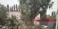 Дерево рухнуло на парковку и оборвало провода в воронежском дворе - Bloknot-Voronezh.Ru