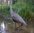 background - Kaluga-Poisk.Ru