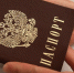 МВД прекратило гражданство России более чем у тысячи человек за 7 месяцев - M24.Ru