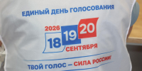 В Петербурге к выборам подготовили более двух тысяч волонтеров - Spbdnevnik.ru