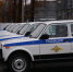 Полиция проводит проверку после сообщений о погибших собаках в Дзержинске - НИА Нижний Новгород