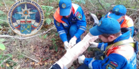 В Ленобласти спасатели вызволили из леса мужчину со сломанной ногой - tvspb.ru - ТК Санкт-Петербург