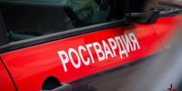 В Москве росгвардейцы задержали гражданина, подозреваемого в краже имущества из чужого авто (видео) - Росгвардия