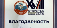 Доценту кафедры физической культуры Сергею Борисовичу Наумову объявлена благодарность за помощь в подготовке и проведении XVIII Всероссийских юношеских игр боевых искусств - ТГПИ