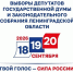 Твой голос - сила России! - Кировский район