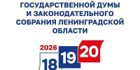 Твой голос - сила России! - Кировский район