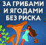 Где один гриб, там и другой… - МЧС Новгородской области