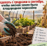 Весной земля лучше чернозёма - а секрет всего в 4 шагах по обработке и удобрению участка создано при помощи ИИ - IrkutskMedia.Ru