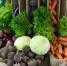 Объем отгруженной продукции АПК Петербурга вырос на 6,2 процента - ГАZЕТА.СПб