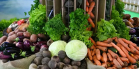 Объем отгруженной продукции АПК Петербурга вырос на 6,2 процента - ГАZЕТА.СПб