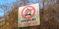 В Курской области продлен запрет на посещение лесов - Курские Известия