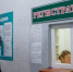 Что даст Дзержинску медицинский кластер? - Репортер и время