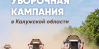 Уборочная кампания в Калужской области идёт по графику - Телерадиокомпания Ника
