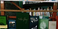 Тематическая выставка «Книжный мост дружбы» - Библиотека им. С.С. Наровчатова