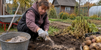 После картошки земля как выжатая губка: смешиваю 3 компонента и рассыпаю осенью — грядка оживает - Pg11.Ru