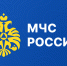 В МЧС России воссозданы советы ветеранов - МЧС России