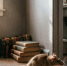 В сентябре пионам - обязательно: 1 стакан на куст - и соцветия летом с голову, мощные, яркие - AmurMedia.Ru