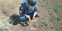 В Крыму обезвредили 46 боеприпасов времён войны></div>
	<div class= - Вести.Севастополь