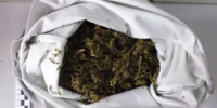 В Дорогобуже у мужчины нагло полкило марихуаны - SmolDaily.Ru