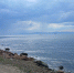 Амурский залив, Японское море, лето - Prim.News
