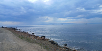 Амурский залив, Японское море, лето - Prim.News