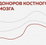 Жителей Подмосковья пригласили поучаствовать в акции, направленной на популяризацию донорства костного мозга - MosRegToday.Ru