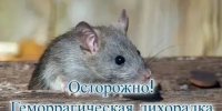 ГЛПС (мышиная лихорадка) - Сеченовский муниципальный округ