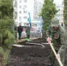 В Уфе осенью высадят 1200 деревьев и 3400 кустарников - Башинформ
