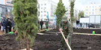 В Уфе осенью высадят 1200 деревьев и 3400 кустарников - Башинформ