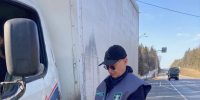 В Тверской области усилили досмотр транспортных средств, перевозящих животных - Афанасий-биржа