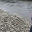 Спасатели предупредили о возможном повышении уровня воды в двух реках. МАХ-канал ГУ МЧС по Камчатскому краю - ИА Камчатка