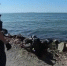 К берегу во Владивостоке прибило тело дайвера - ГТРК Владивосток
