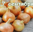 Наш календарь. 17 сентября 2026 - Газета Ангарский рабочий