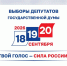 Выборы-2026 - финишная прямая! - Нанайский район