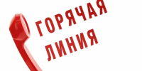 Отдел экономического развития и инвестиций администрации Комсомольского муниципального района 18 сентября 2026 г. проводит «горячую линию» - Комсомольский район