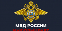 МО МВД РФ «Благовещенский» разъясняет вопросы по обеспечению правопорядка в период проведения выборов - Благовещенский районный информационный центр