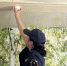 В Якутии продолжается акция «Предупреди пожар — установи АДПИ»  - Правительство Республики Саха (Якутия)