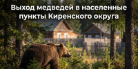 nano-banana-pro-61d4d606-e775-4c77-8aaa-718a25ccd873.png - Киренский район