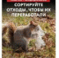 Внеси свой вклад в сохранение природы: ППК РЭО проводит масштабную просветительскую кампанию - АлтГТУ им. И.И. Ползунова