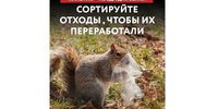 Внеси свой вклад в сохранение природы: ППК РЭО проводит масштабную просветительскую кампанию - АлтГТУ им. И.И. Ползунова