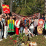 1 - Педагогический институт