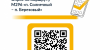 Опрос по маршруту М296 «п. Солнечный – п. Березовый» - Солнечный район