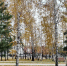 Фото: Татьяна Первова - Алтайская правда