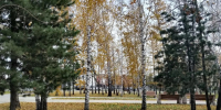 Фото: Татьяна Первова - Алтайская правда
