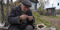 Махорка пережила войны и дефицит не случайно: чем советский «суровый табак» отличался от привычных сигарет - Pro Город Ухта