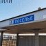В пригородном районе Бурятии гоняются за медведем - ИА Байкал-Daily