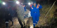 Пять медведей ликвидировали в Братске с начала недели - IrkutskMedia.Ru